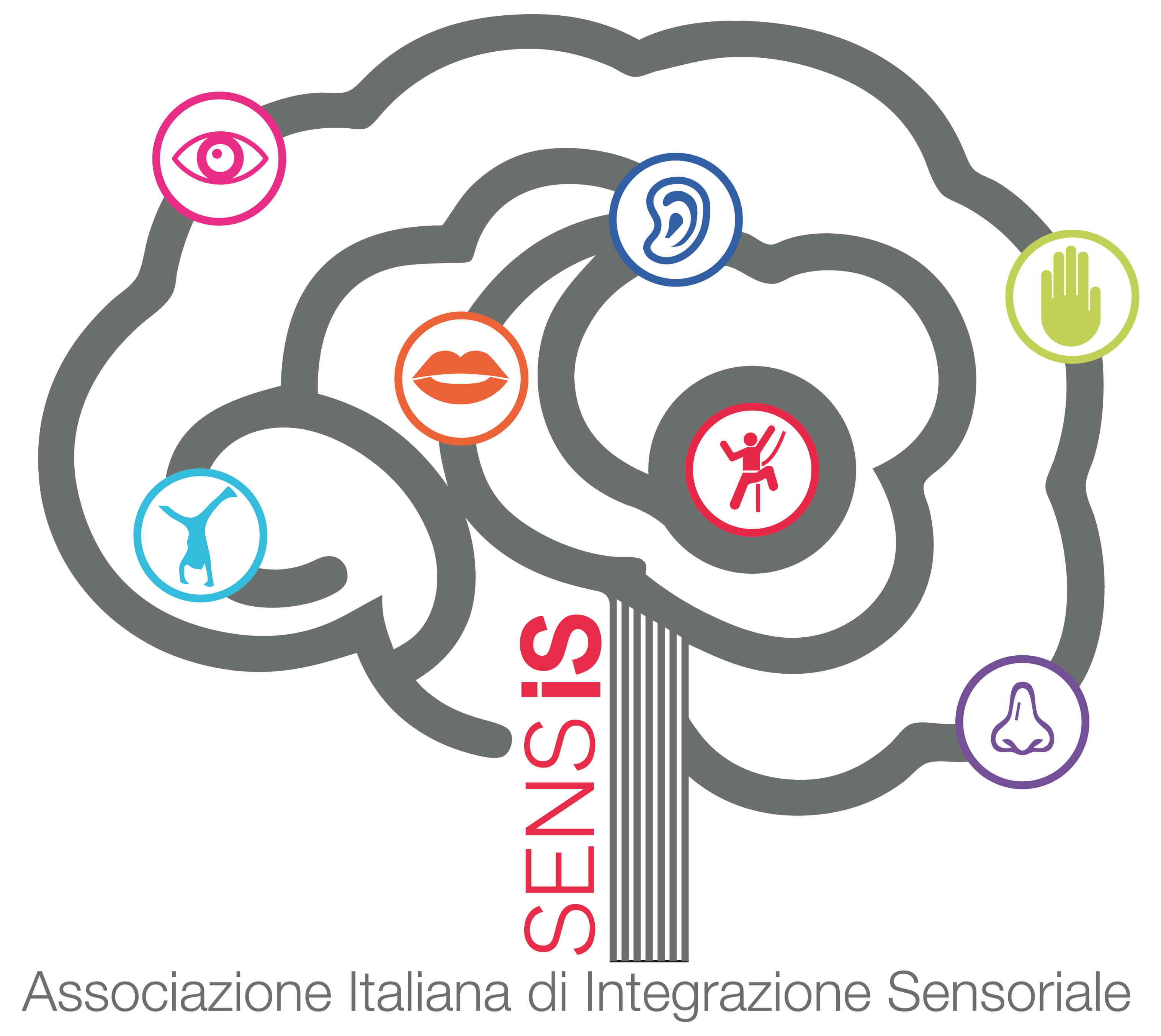 L’approccio di Integrazione Sensoriale e la pratica clinica del terapista occupazionale